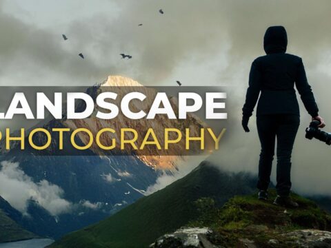 The Art of Landscape Photography for Beginners