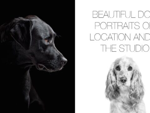 Beautiful Dog Portraits On Location And In The Studio | Techniques For Capturing Canine Characters!